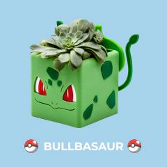 Imagen de Combo Macetas Pokemon