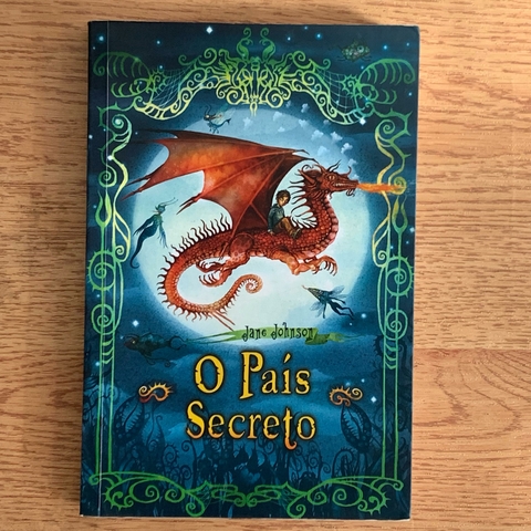 LIVRO O PAÍS SECRETO - JANE JOHNSON