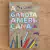 LIVRO A GAROTA AMERICANA - MEG CABOT