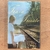 LIVRO TRAIN TO TRIESTE - DOMNICA RADULESCU