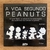 HQ A VIDA SEGUNDO PEANUTS - CHARLES M SCHULZ
