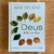 LIVRO DEUS TODOS OS DIAS - MAX LUCADO