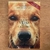 LIVRO QUATRO VIDAS DE UM CACHORRO - W BRUCE CAMERON