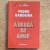 LIVRO A DROGA DO AMOR - OS KARAS - PEDRO BANDEIRA