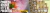 Imagem do banner rotativo GastronomyLab 