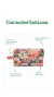 Necessaire Grande Floribunda - Chimi. Condimentá tu hogar