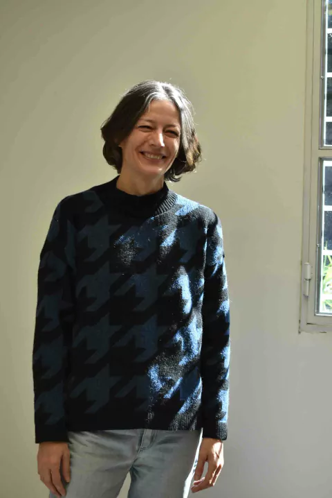 Sweater Gallo - comprar online