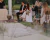 ALQUILER DE ALFOMBRAS