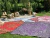 ALQUILER DE ALFOMBRAS - tienda online