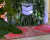 ALQUILER DE ALFOMBRAS - comprar online
