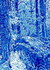Bosque de Fontainebleau (Foret de Fontainebleau) - comprar online
