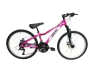 Bicicleta MTB Andes Rodado 24 Aluminio 21 Velocidades Shimano en internet