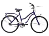 Bicicleta And-Es Rodado 24 para Nena con Canasto y Frenos V-Brake - comprar online