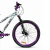 Imagen de Bicicleta Dirt Jump Fire Bird Stunt R26