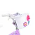 Bicicleta Infantil Rembrandt Flower Rodado 12 Paseo Nena Rueditas Canasto - BICPER Banda