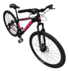 Bicicleta R29 FIREBIRD Col-Raiser Dama Disc Mec - comprar online