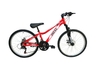 Bicicleta MTB Andes Rodado 24 Aluminio 21 Velocidades Shimano - comprar online