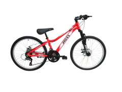 Bicicleta MTB Andes Rodado 24 Aluminio 21 Velocidades Shimano - comprar online