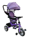 Triciclo Con Manija y Capota Apoya pies Asiento Giratorio 4015 - comprar online
