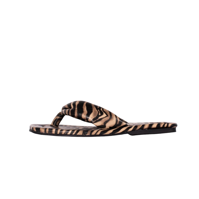 CARIOCA ZEBRA thumbnail 2
