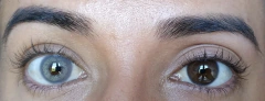 URBAN LAYER - CELINE GRAY LENTES DE CONTACTO en internet