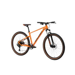Raleigh Mojave 5.5 - 1x11v - 2026 - comprar online