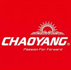 Camara 29 Chaoyang Presta 48mm en internet