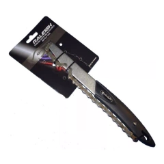 Llave Con Cadena Saca Piñon Raleigh - Cambios - comprar online