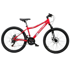 Raleigh Scout MTB - Rodado 24