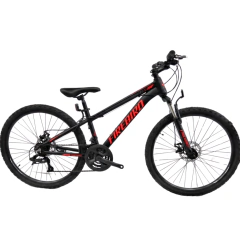 Fire Bird R24 - 21 Velocidades en internet