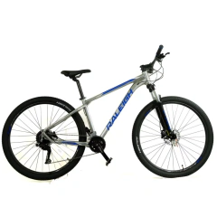 Raleigh Mojave 4.0 - 2026