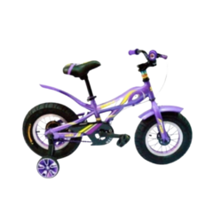 SBK Fat Bike Hunter R12 - comprar online
