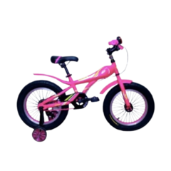 SBK Fat Bike Hunter R12 en internet