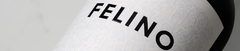 Banner de la categoría Felino