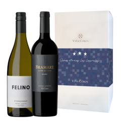 Estuche doble - Mundial - tienda online