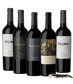 Identidad Malbec