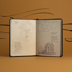 Dibujos recuperados - comprar online