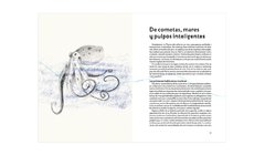 El hilo invisible de la naturaleza en internet