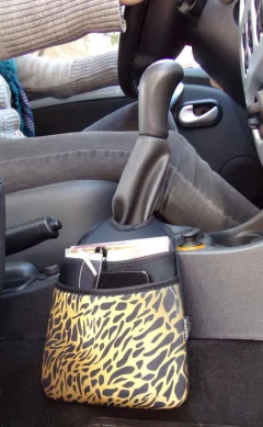 car bag