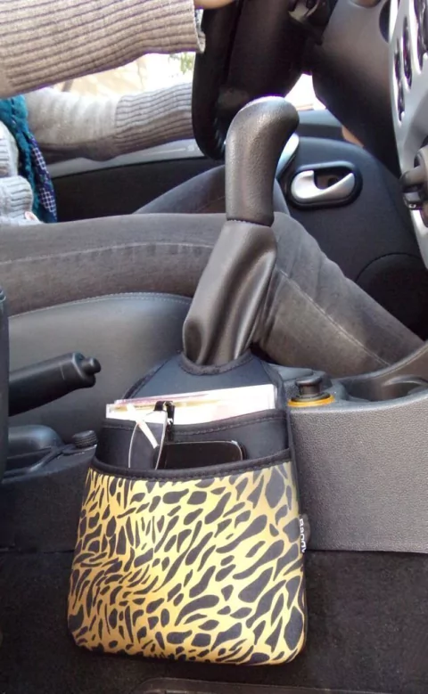 car bag