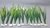 Planta Artificial Aquário Vaso Ambiente 15 cm 12 un