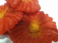 Enfeite Coral Mushroom Red para aquário e decoração - comprar online
