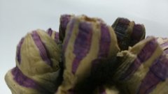 Enfeite Coral Craca Lilás Listrado Aquário e Decoração - Bixo D'Agua