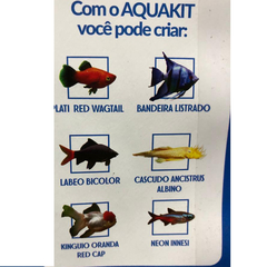 Aquário 42 lt filtro bomba integrado luminária led e decoração - Aquakit na internet