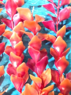 Planta Artificial Plástica para Aquário Bacopa Pink Red 34cm na internet