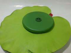 Ninféia Walter Lily Vermelha 25,5 cm - Bixo D'Agua
