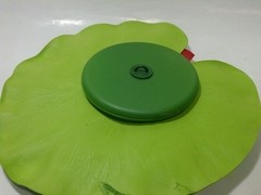 Ninféia Walter Lily Vermelha 10 cm - Bixo D'Agua