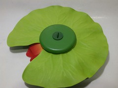 Ninféia Walter Lily Vermelha/Amarela 18 cm - Bixo D'Agua