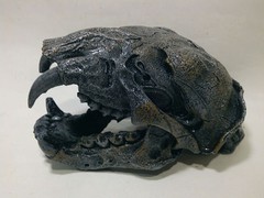 Enfeite Crânio Caveira Alien Predador
