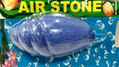 Pedra Porosa Concha para Aquários - comprar online
